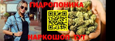 амф Владимир