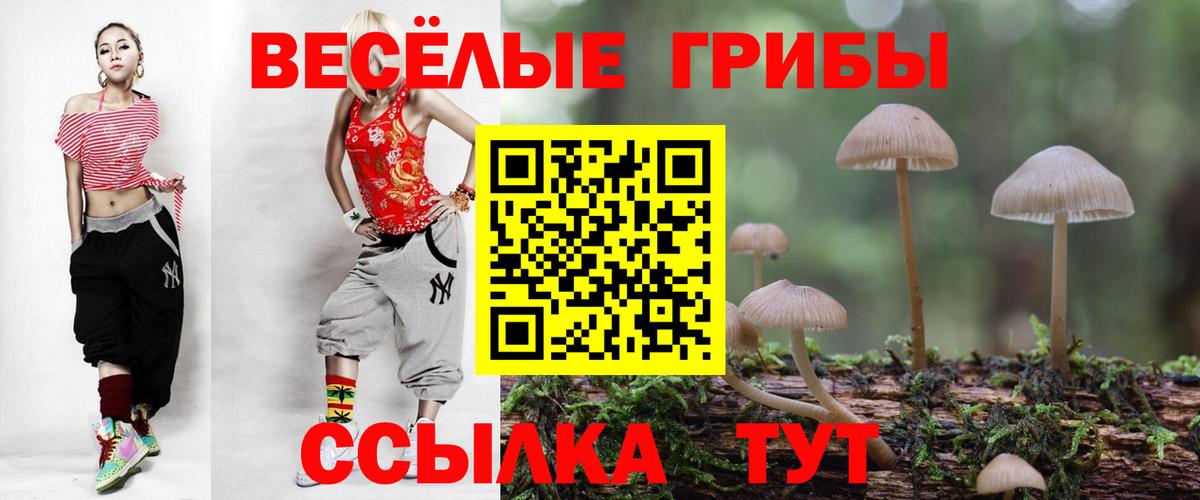 Галлюциногенные грибы Cubensis  Псилоцибиновые грибы Cubensis  Каспийск  хочу наркоту  Вход с VPN 